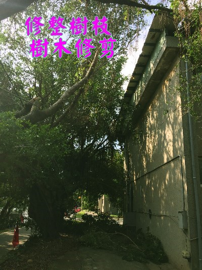 地板清洗